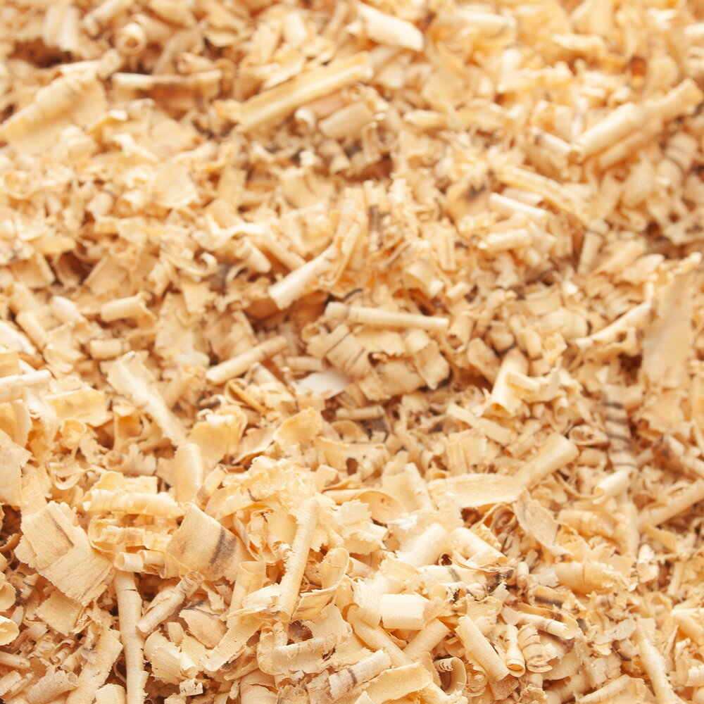 �񻺡��դ�դ路�餫�Х��åס�4L�������ѡ����֥ȥॷ�����塞��������������