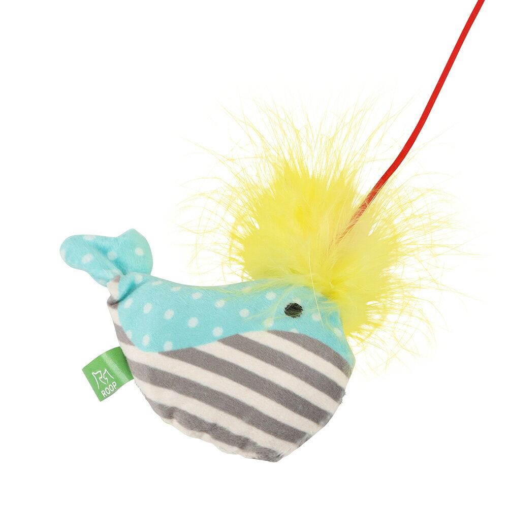 �롼�ס����åǥ������������������ۥ����롡����������