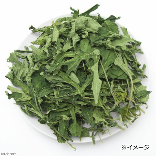 5袋セット　国産　パパイヤの葉　30g×5袋　お徳用パック　小動物用のおやつ　無添...