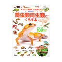 爬虫類両生類とくらす本 書籍 関東当日便