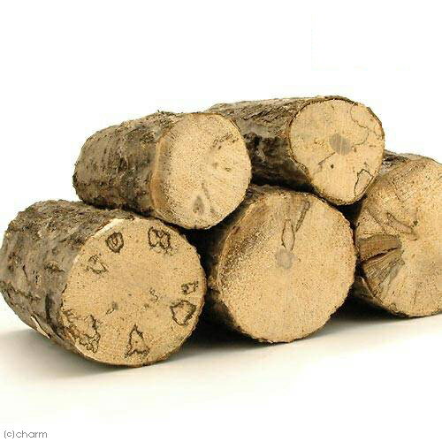 ���̤�졡�����ڡ����ܡʡ�7cm̤���ˡ�1�ܡ�����������