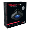 レッドシー Reef LED G2 60 サンゴ 成長 色揚げ 〜50cm 水槽 ライト 照明 関東当日便