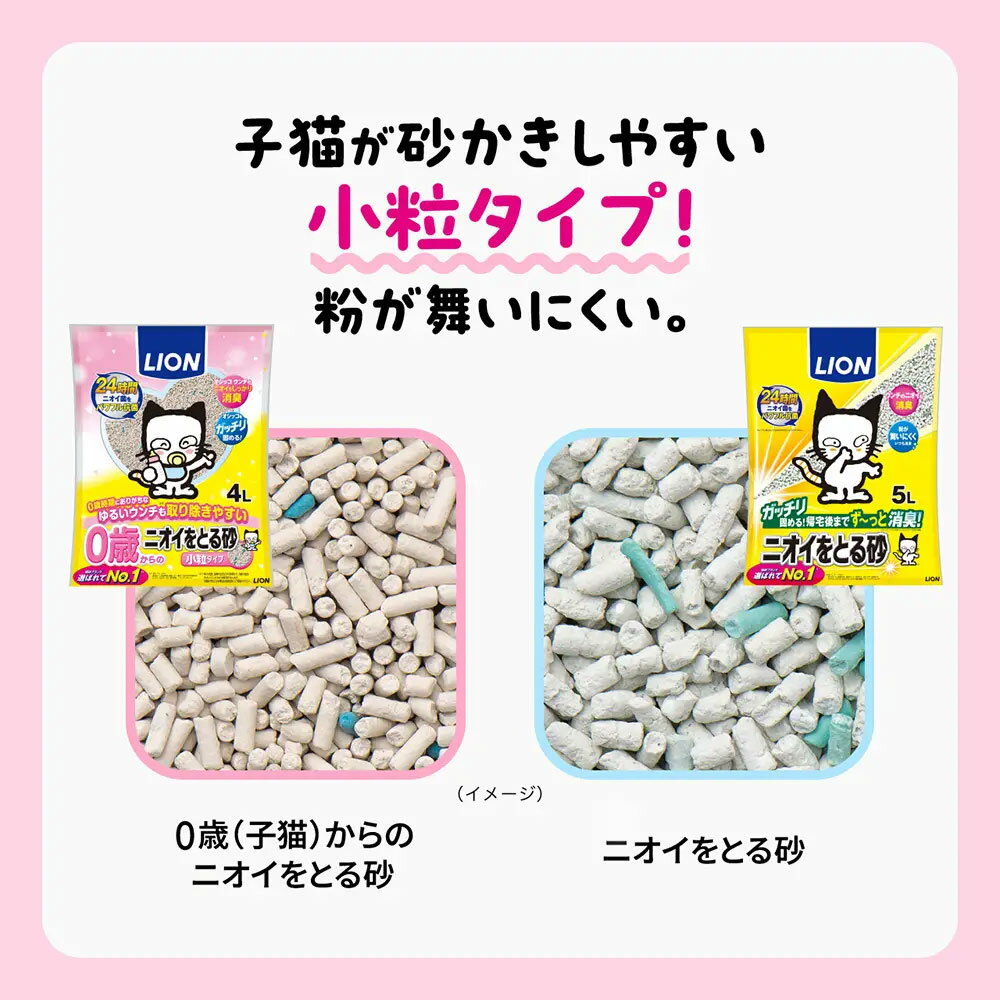 �饤����0�Сʻ�ǭ�ˤ���Υ˥�����Ȥ뺽����γ�����ס�4L��4��ǭ�����Ǥޤ롡�٥�ȥʥ��ȡ��������1���¤ꡡ����������