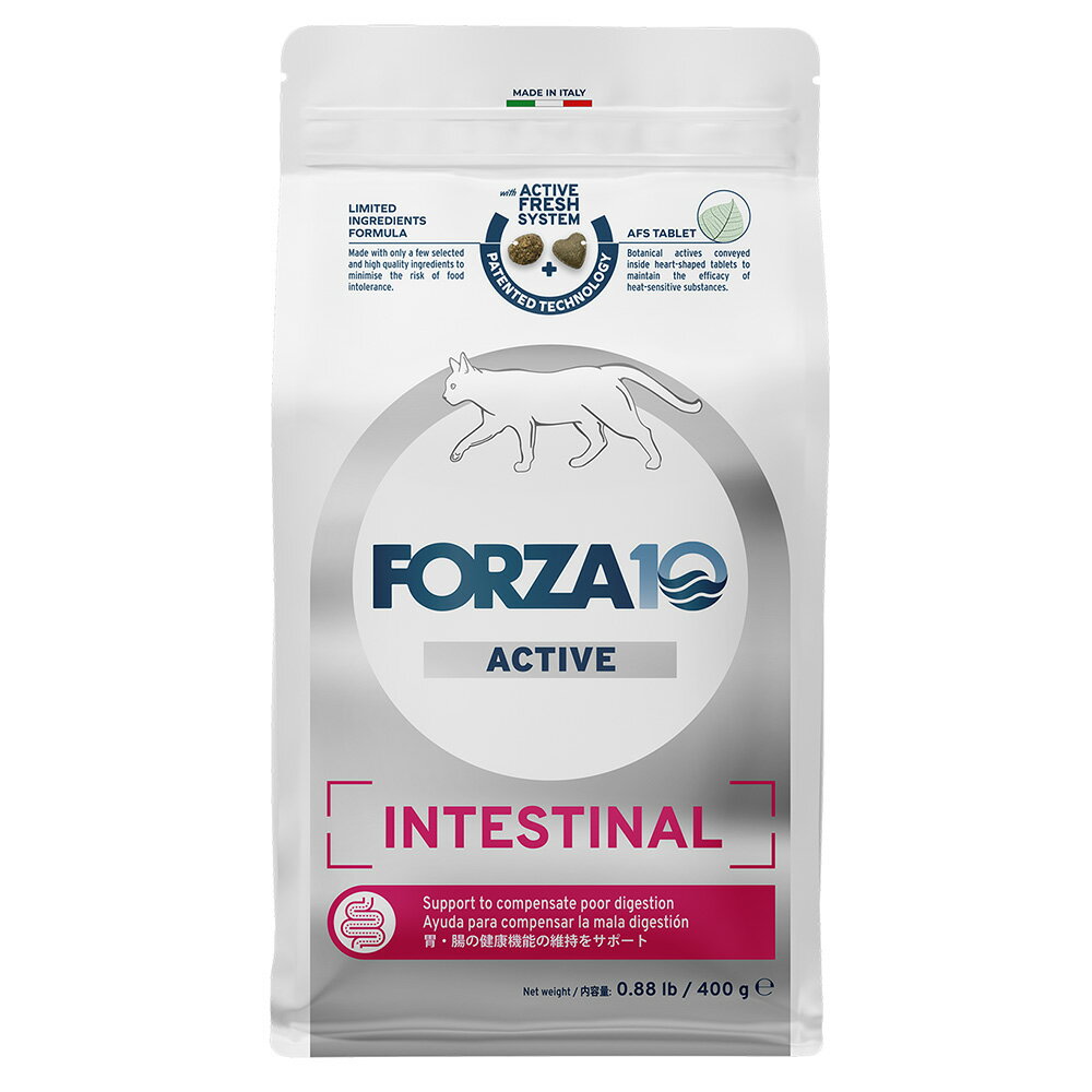 FORZA10���ե���ĥ�10�������ƥ��֥饤�󡡥��󥹥ƥ��ʥ롡��Ĳ������400g������������