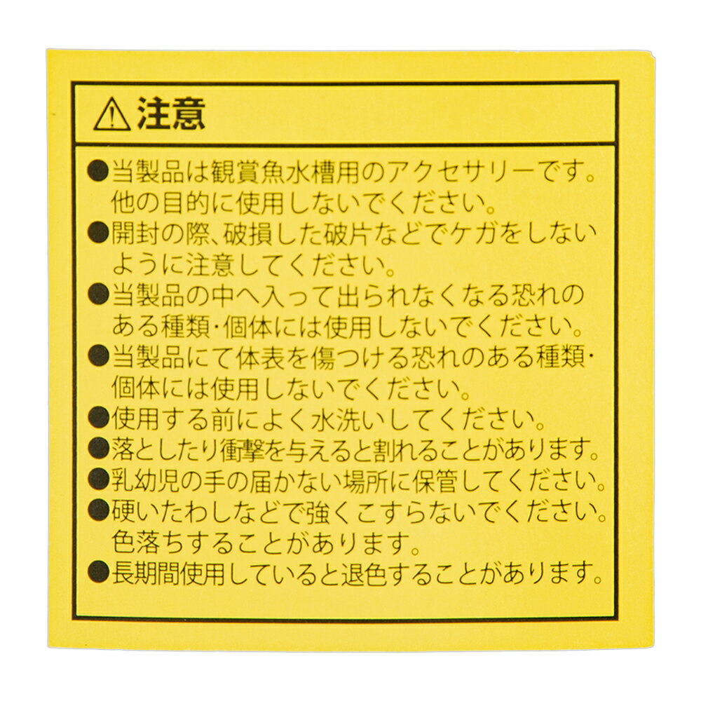 JUN�����տ�֡�����������