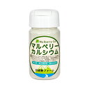 マルベリーカルシウム 100g 爬虫類・両生類専用 飼料添加剤 爬虫類 両生類 サプリメント 添加剤 関東当日便