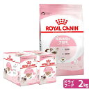 ロイヤルカナン 猫 生後4ヶ月からの子猫用セット なめらかローフ パウチ24袋 + ドライフード キトン 2kg ジップ付 関東当日便