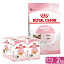 ロイヤルカナン 猫 成長前期の子猫用セット ぷるんとゼリー パウチ24袋 + ドライフード マザー&ベビーキャット 2kg ジップ付 関東当日便