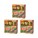 アウトレット品 除草剤 フマキラー 除草王シリーズ オールキラー粒剤 3kg×3 訳あり 関東当日便