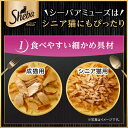 シーバ　アミューズ　18歳以上　お魚スープ　まぐろ、かつお節添え　40g　キャットフード【HLS_DU】　関東当日便