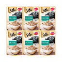 シーバ リッチ お魚にかつお節添え 35g×6袋 キャットフード 関東当日便