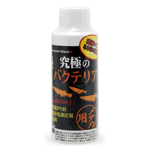 B-blast 究極のバクテリア メダカ用 120ml