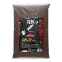 B−blast 究極の爬虫類マット 細目 4L 関東当日便