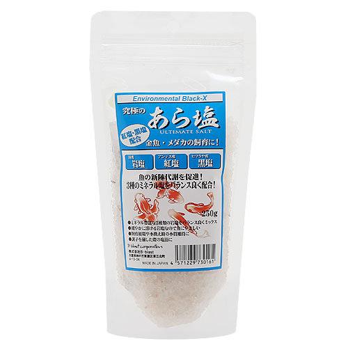 B－blast　究極のあら塩　250g【HLS_DU】　関東当日便