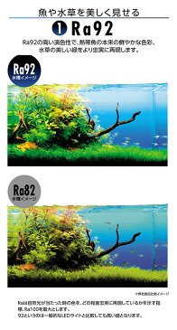 テトラ パワーLEDライト 30 30〜42cm水槽用照明 熱帯魚 水草 アクアリウムライト 関東当日便