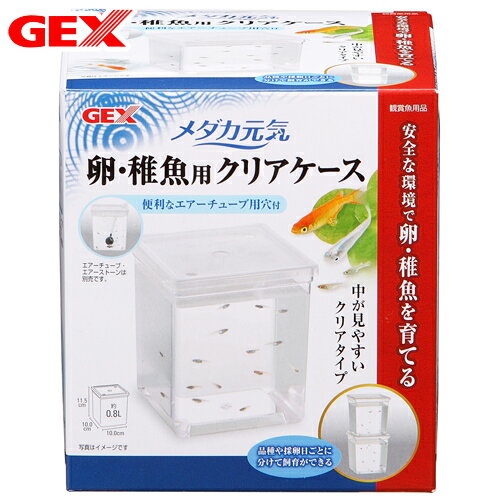 GEX メダカ元気 卵稚魚用クリアケース