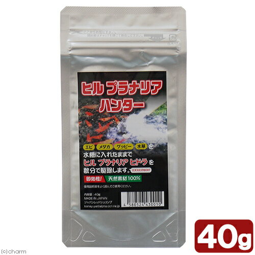 ヒル プラナリアハンター 40g