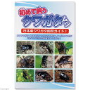 初めて飼うクワガタムシ 関東当日便