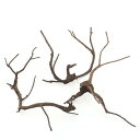 形状お任せ 煮込み済み 極上流木 Mサイズ(約20〜30cm) 3本 アクアリウム テラリウム レイアウト素材 関東当日便
