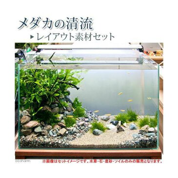 （水草）メダカの清流　レイアウト素材セット（底床＋水草）（水中葉）　メダカ飼育説明書付き　本州四国限定