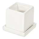 アウトレット品 ニューダイス SS 白(1個)(穴有り・受け皿付)(幅6.3×奥行6.3×高さ6.2cm)