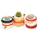 (観葉植物)おまかせプチサボテン クリスマス 鉢色おまかせ(1鉢) 固まる砂 多肉植物 おしゃれ プレゼント