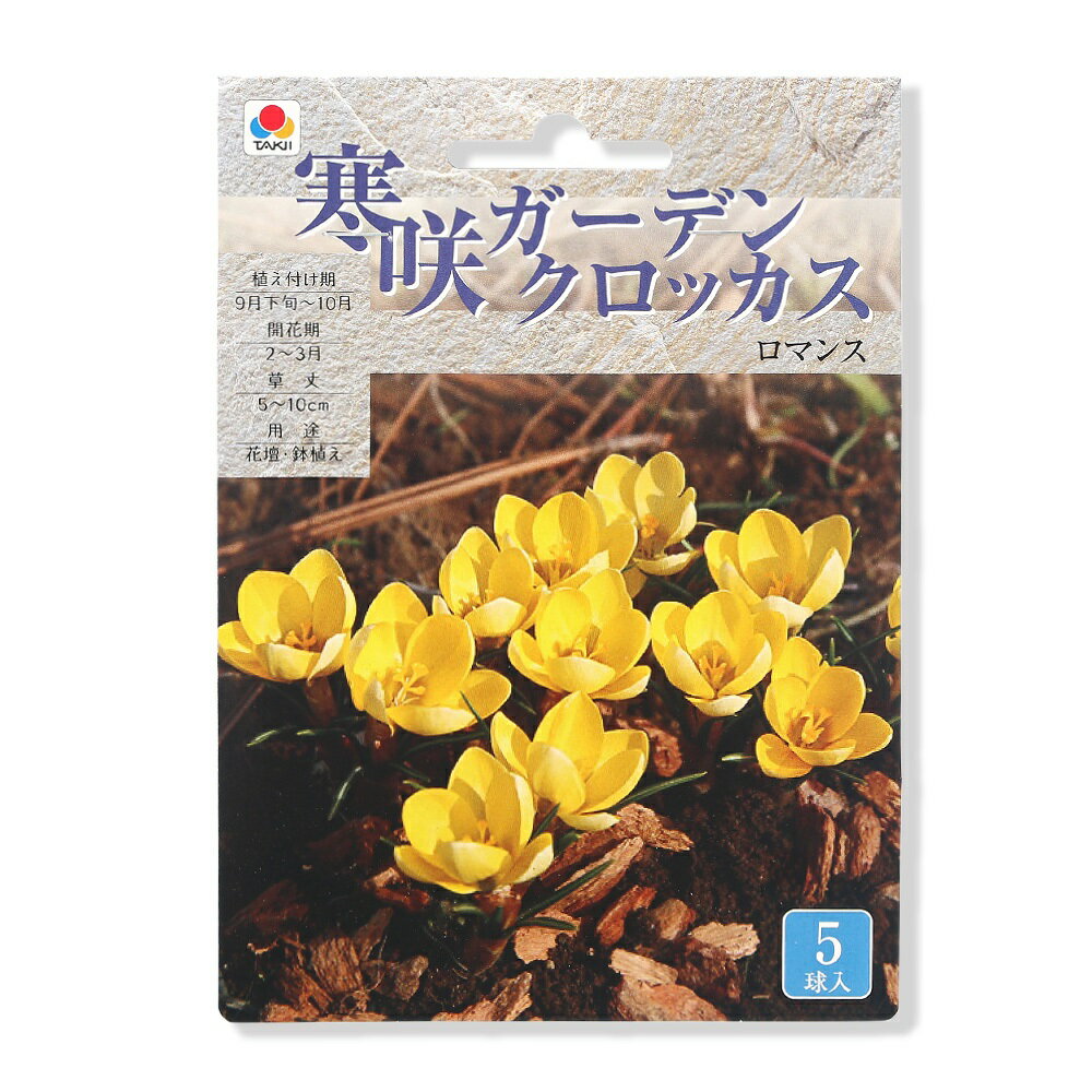 寒咲きガーデンクロッカス球根ロマン...
