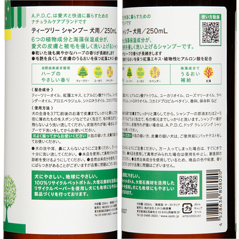 サンプル画像2