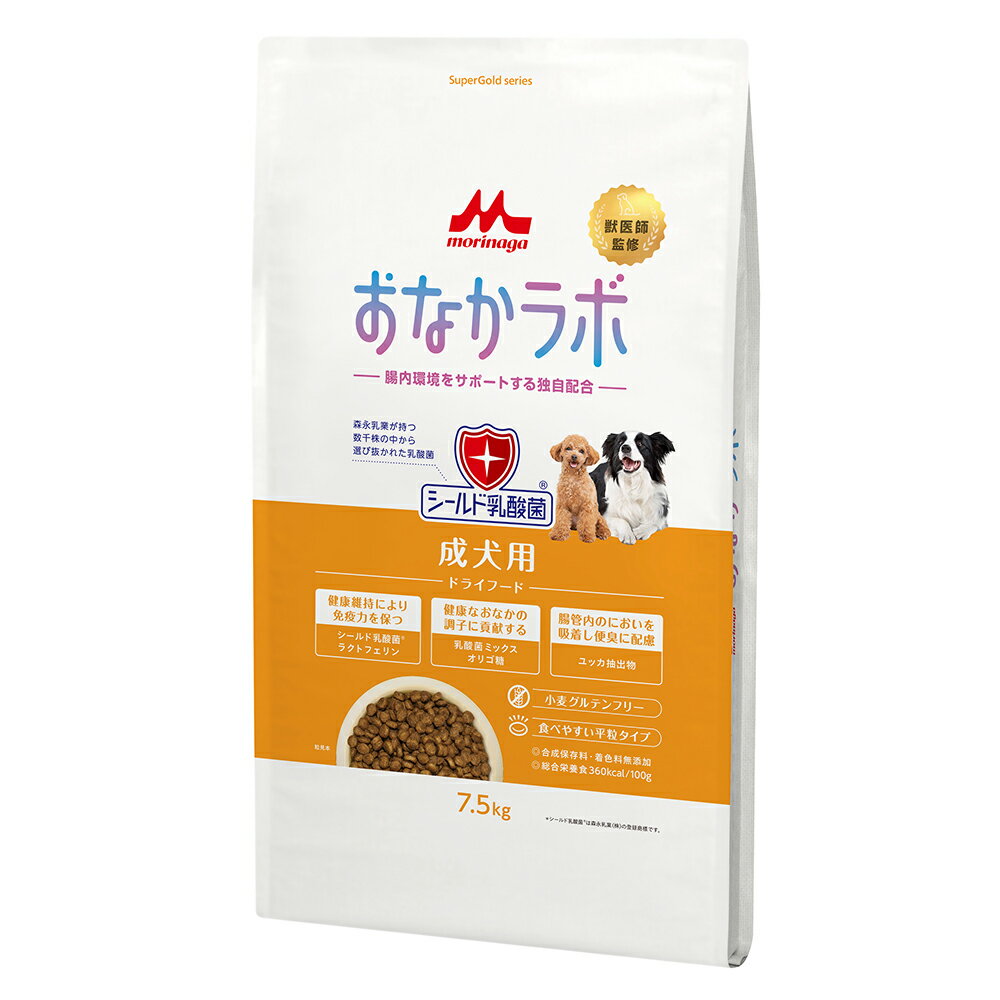 メーカー：森乳腸内環境をサポートする独自配合！森乳　スーパーゴールド　おなかラボ　成犬用　7．5kg対象犬タイプドライフード 機能総合栄養食ライフステージ成犬特長 ●食べやすく、お湯でふやけやすい平粒タイプの成犬用総合栄養食です。 ●シールド乳酸菌＆ラクトフェリン、乳酸菌ミックス＆オリゴ糖が免疫バランスと腸内フローラ調整をサポートします。 ●食物アレルギーに配慮した小麦グルテンフリーです。 ●合成保存料、着色料無添加です。 内容量7．5kg原材料チキンミール、コーン、米、鶏脂肪、オートミール、チキンダイジェスト、コーングルテンミール、フィッシュミール、トマトポマス、乾燥ビートパルプ、亜麻仁、乾燥卵、乾燥イースト、チコリー（イヌリン、フラクトオリゴ糖）、乾燥トマト粉末、乳酸菌乾燥粉末（殺菌）、乳酸菌乾燥粉末、ビタミン類（A、D、E、K、B1、B2、B6、B12、C、パントテン酸、ナイアシン、葉酸、ビオチン、コリン）、ミネラル類（Ca、K、Na、Cl、Cu、Fe、Mn、Zn、Se、I）、レシチン、グルコサミン、Lーカルニチン、イノシトール、コンドロイチン硫酸、ユッカ抽出物、ラクトフェリン、酸化防止剤（ミックストコフェロール、ローズマリーエキス）保証成分たんぱく質：25．0％以上、脂肪：16．0％以上、粗繊維：4．5％以下、灰分：8．0％以下、水分：10．0％以下カロリー360kcal／100g原産国アメリカ使用方法●給与回数は1日2〜3回が一般的です。 ●なお給与量は犬種、運動量、気温などにより異なります。 ●いつでも新鮮な水が飲めるようにご用意ください。 品質保証この商品は、ペットフード公正取引協議会の定める分析試験の結果、総合栄養食の基準を満たすことが証明されています。なお、総合栄養食に関する基準はAAFCOの基準を準用し、最新のAAFCO基準に適合しております。 ご注意 ※本品は成犬用総合栄養食です。対象年齢以外の犬には与えないでください。 ※高温多湿、直射日光を避け、乾燥した冷暗所に保存してください。特に開封後の保存は、カビや虫の害を受けないように注意してください。 ※原材料表示をご確認の上、アレルギーのある愛犬には給与をお控えください。 ※原材料の特性のためにロットにより商品の色調や大きさが異なることがあります。 お問い合わせについて商品の不明点につきましては、下記にお問い合わせください。株式会社　森乳サンワールドTEL：0800−111−4120ドッグフード　森乳　スーパーゴールド　おなかラボ　成犬用　800gドッグフード　森乳　スーパーゴールド　おなかラボ　成犬用　2．4kgドッグフード　森乳　スーパーゴールド　おなかラボ　子犬用　7．5kgドッグフード　森乳　スーパーゴールド　おなかラボ　シニア犬用　7．5kgドッグフード　森乳　スーパーゴールド　おなかラボ　体重調整用　7．5kgドッグフード　森乳　スーパーゴールド　フィッシュ＆ポテト　プラス　関節の健康に配慮　7．5kgドッグフード　森乳　スーパーゴールド　フィッシュ＆ポテト　プラス　関節の健康に配慮　2．4kgドッグフード　森乳　スーパーゴールド　フィッシュ＆ポテト　プラス　ライト　2．4kgドッグフード　森乳　スーパーゴールド　フィッシュ＆ポテト　プラス　ライト　7．5kg … メーカー画像　ドッグフード　森乳　スーパーゴールド　おなかラボ　成犬用　7．5kg　4978007005174　20241009　y24m10　ktym　イヌフード　犬フード　おなか　ラボ　成犬　ペットフード　フード　腸内環境　サポート　乳酸菌　免疫　腸内フローラ　アミノ酸　脂肪酸　ビタミン類　ミネラル類　バランス　シールド乳酸菌　シールド　オリゴ糖　機能性素材　グルコサミン　コンドロイチン　L−カルニチン　オメガ3脂肪酸　オメガ6脂肪酸　ユッカ抽出物　小麦不使用　グルテンフリー　グルテン　フリー　合成保存料不使用　着色料不使用　無添加　ドライフード　ドライ　総合栄養食　栄養食　平粒　粒　gut_dry_d_mor■この商品をお買い上げのお客様は、下記商品もお買い上げです。※この商品には付属しません。■ドッグフード　森乳　スーパーゴールド　おなかラボ　成犬用　800gドッグフード　森乳　スーパーゴールド　おなかラボ　成犬用　2．4kgドッグフード　森乳　スーパーゴールド　おなかラボ　子犬用　7．5kgドッグフード　森乳　スーパーゴールド　おなかラボ　シニア犬用　7．5kgドッグフード　森乳　スーパーゴールド　おなかラボ　体重調整用　7．5kgドッグフード　森乳　スーパーゴールド　フィッシュ＆ポテト　プラス　関節の健康に配慮　7．5kgドッグフード　森乳　スーパーゴールド　フィッシュ＆ポテト　プラス　関節の健康に配慮　2．4kgドッグフード　森乳　スーパーゴールド　フィッシュ＆ポテト　プラス　ライト　2．4kgドッグフード　森乳　スーパーゴールド　フィッシュ＆ポテト　プラス　ライト　7．5kg