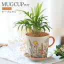 (観葉植物)テーブルヤシ マグカップポット オレンジ(1鉢)受皿付 インテリア 室内 プレゼント