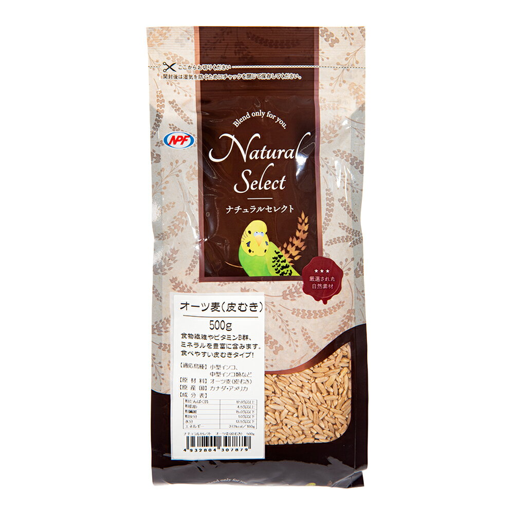 NPF　ナチュラルセレクト　オーツ麦（皮むき）　500g　関東当日便のサムネイル