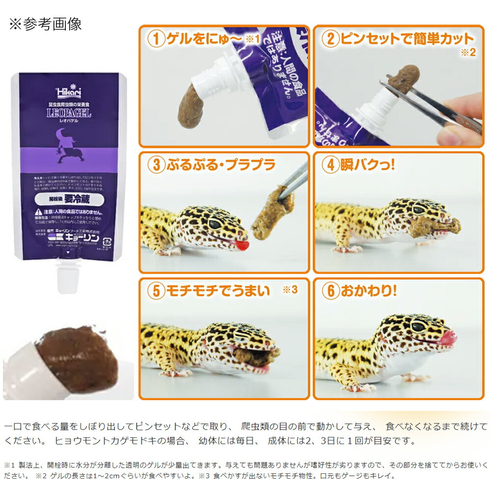 キョーリン　レオパゲル　60g　爬虫類　フード　ヒョウモントカゲモドキ　お一人様25点限り【HLS_DU】　関東当日便 3