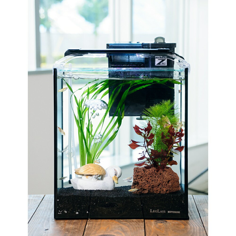 （めだか）（水草）簡単メダカ飼育水草レイアウトセット　ラメメダカ　ミックス付　25cm水槽　カルガモ..