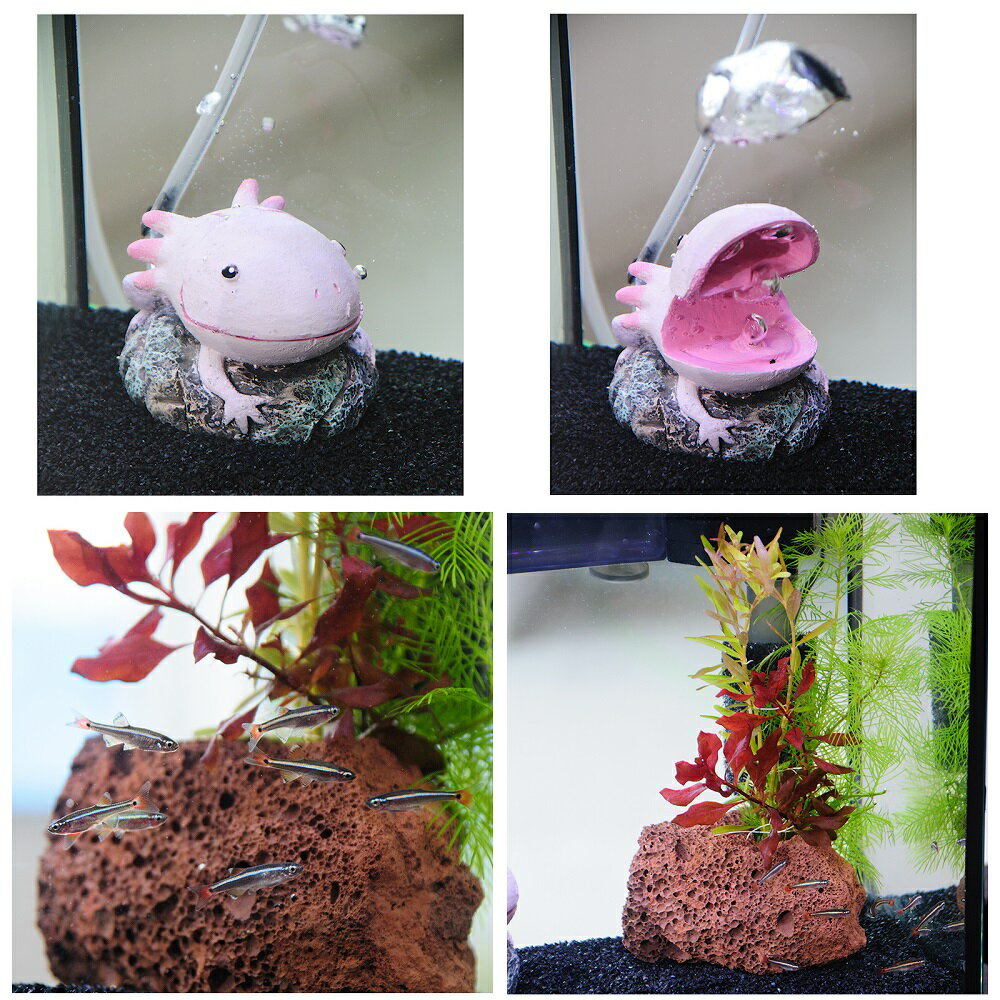 ��Ǯ�ӵ��ˡʿ���˴�ñ�����ҥ�������쥤�����ȥ��åȡ������ҥ졡S�������ա�25cm���塡�����ѡ��롼�ѡ�ver�����ܽ��͹����