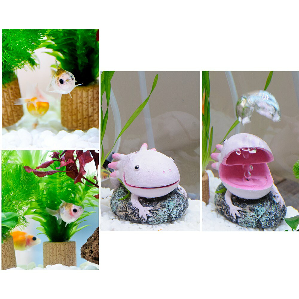 �ʹ񻺶���ˡʿ���˴�ñ�ԥ�ݥ�ѡ���������쥤�����ȥ��åȡ�40cm���塡�����ѡ��롼�ѡ�ver�����ܽ��͹���ꡡ����������