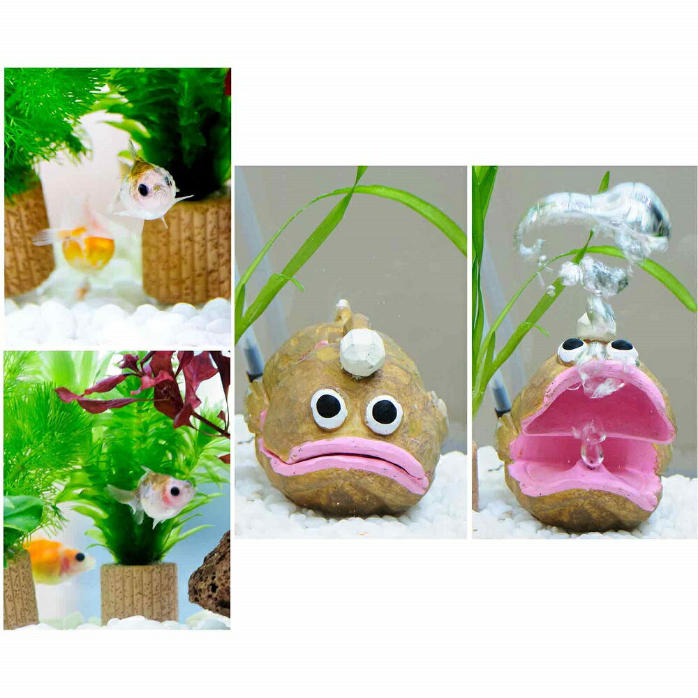 �ʹ񻺶���ˡʿ���˴�ñ�ԥ�ݥ�ѡ���������쥤�����ȥ��åȡ�40cm���塡���󥳥�ver�����ܽ��͹���ꡡ����������