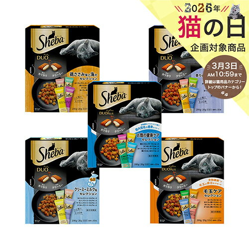 �ޤȤ��㤤�������С��ǥ奪����̣�������ΤΥ�����5���3�ĥ��åȡ�����åȥա��ɡ�����������