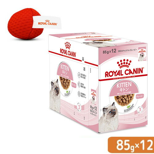 ロイヤルカナン 子猫 キトン グレービー 成長後期の子猫用 85g 12袋 ＋ オリジナルおもちゃ 関東当日便