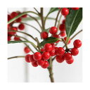 (山野草)盆栽 百両 カラタチバナ(唐橘)赤実 3.5号(1ポット)(休眠状態)