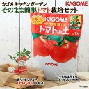 （観葉植物）私の菜園　カゴメ　そのまま簡単トマト栽培セット（高リコピントマト）　家庭菜園【HLS_DU】