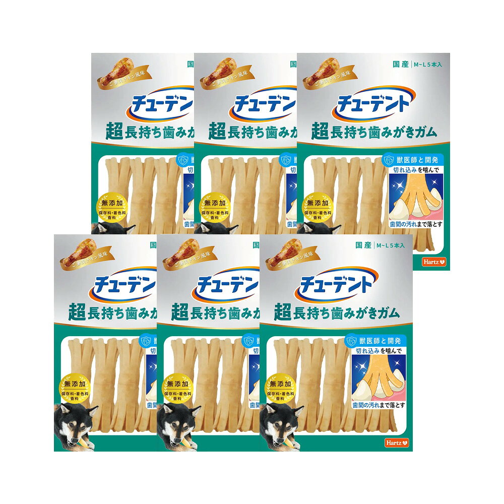 チューデント 超長持ち歯みがきガム M-L 5本入×6 関東当日便