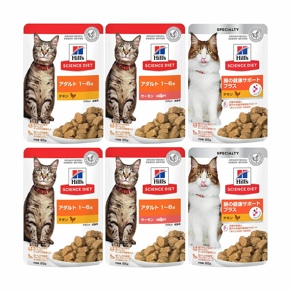 ������̵���ۥ������󥹥������åȡ��ѥ�����������ȡ�1��6����ǭ�ѡ����3�異�����ȡ�85g�߳�2�޷�6�ޡ��������1���¤ꡡ����åȥա��ɡ��ҥ륺������������