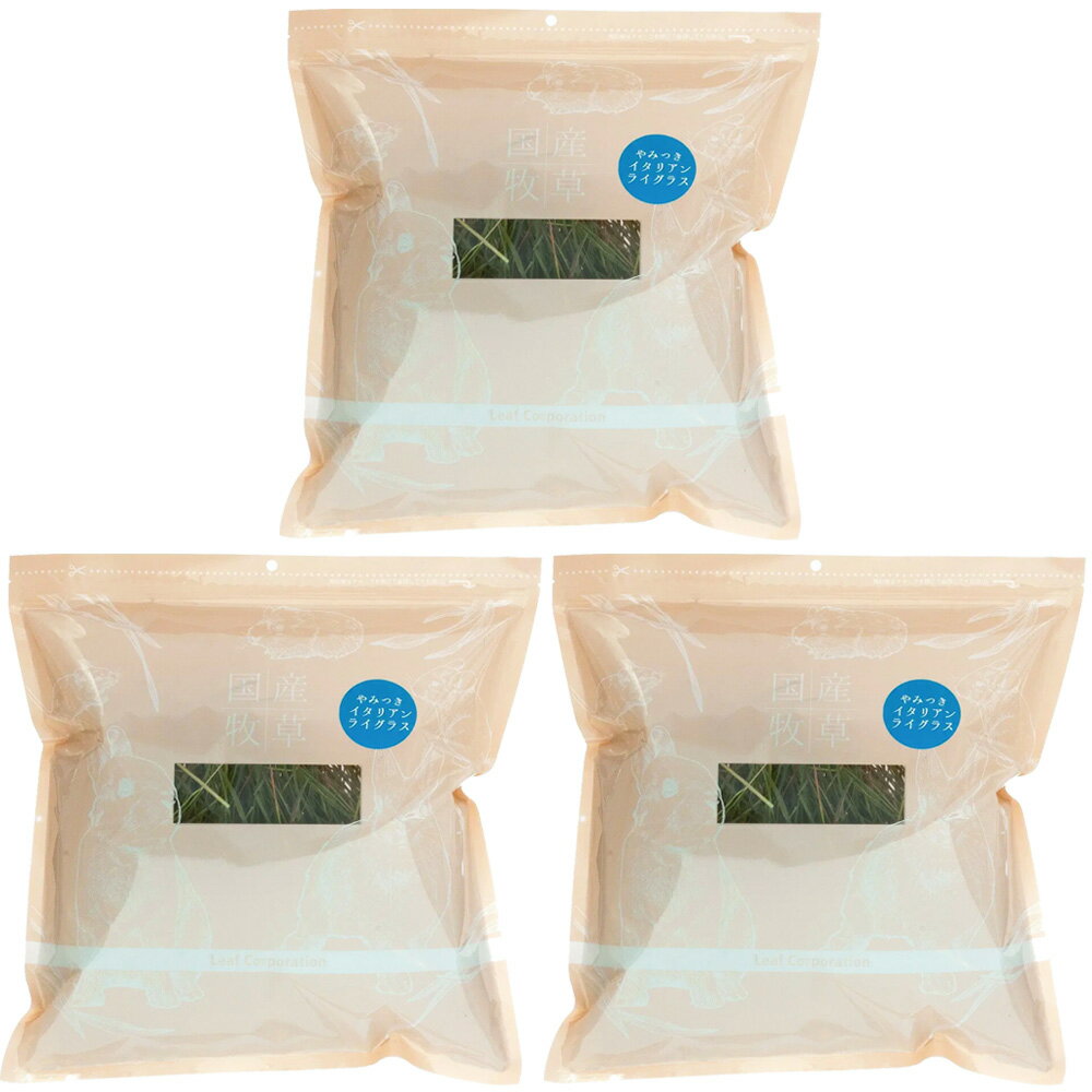 【送料無料】令和7年産　国産　やみつきイタリアンライグラス　100g　3袋　牧草　うさぎ　モルモット　小動物　おやつ　USAYAMA　関東当日便...