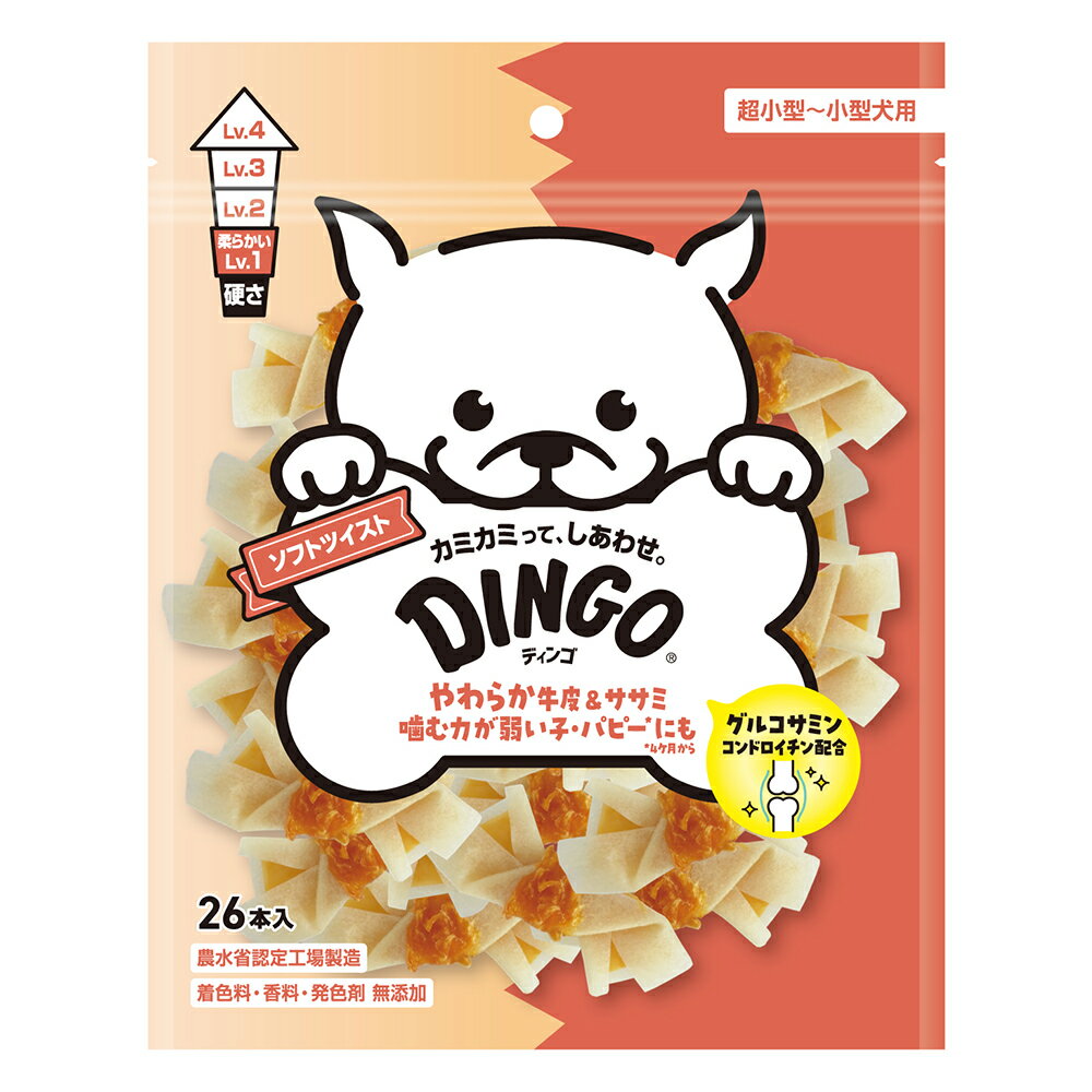 �ǥ��󥴡����եȥĥ����ȡ��ߥˡ�26����������������