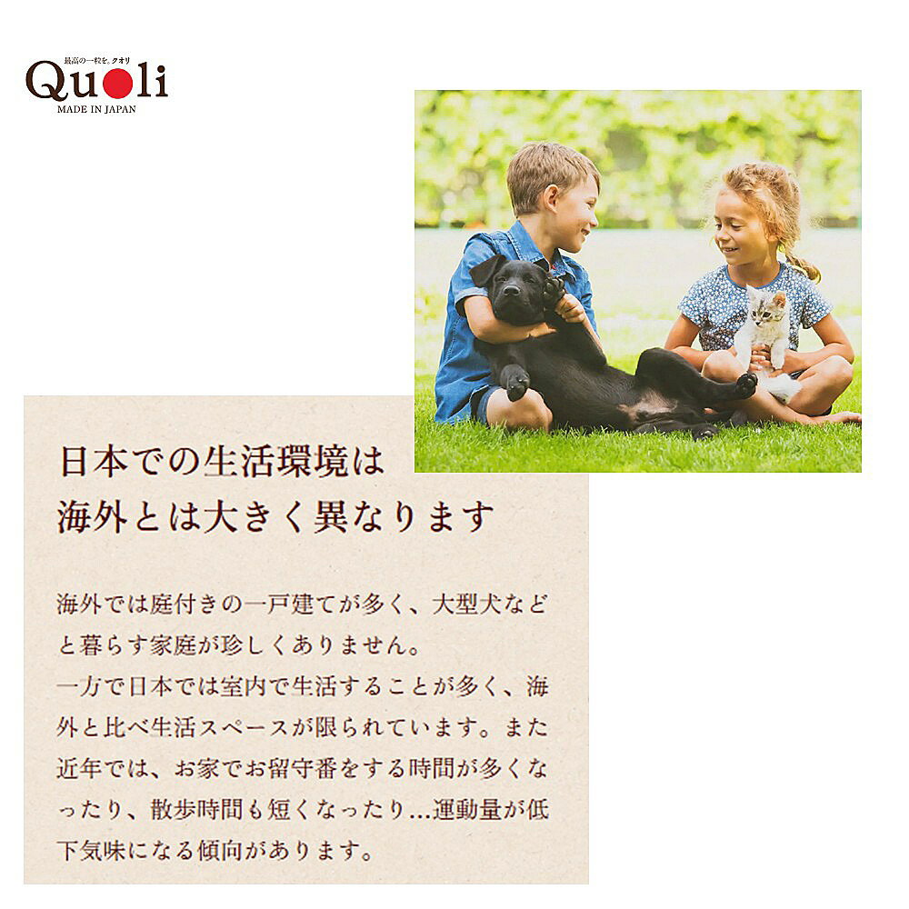 サンプル画像3