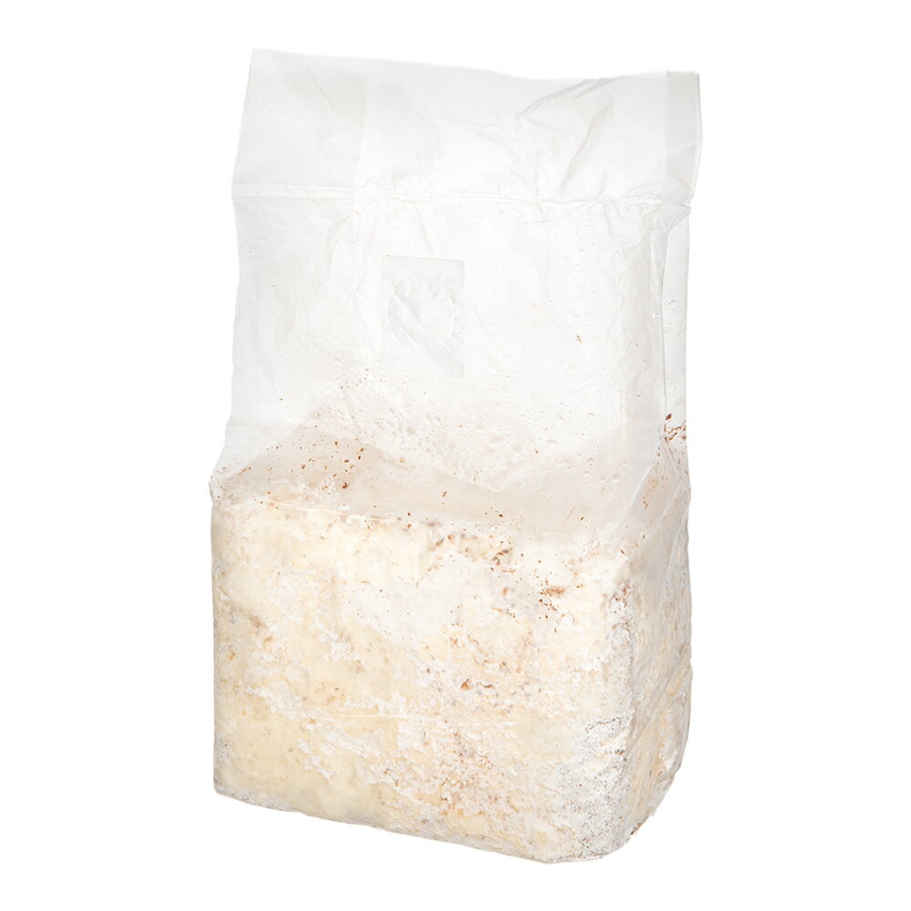 菌糸ブロック　月夜野きのこ園　N−カワラブロック　3500cc