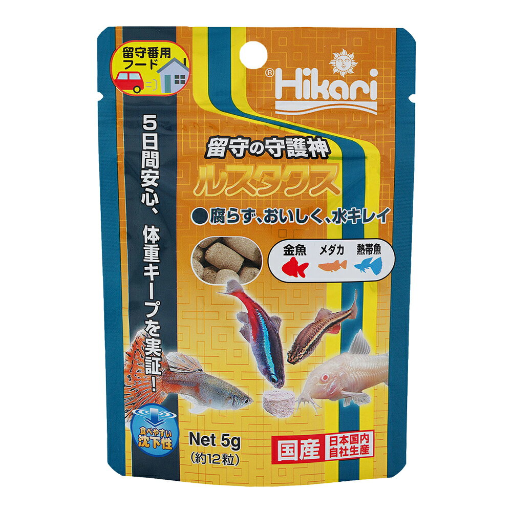 ���硼��󡡥륹��������5g���������50���¤ꡡα�����ѥա��ɡ�����������