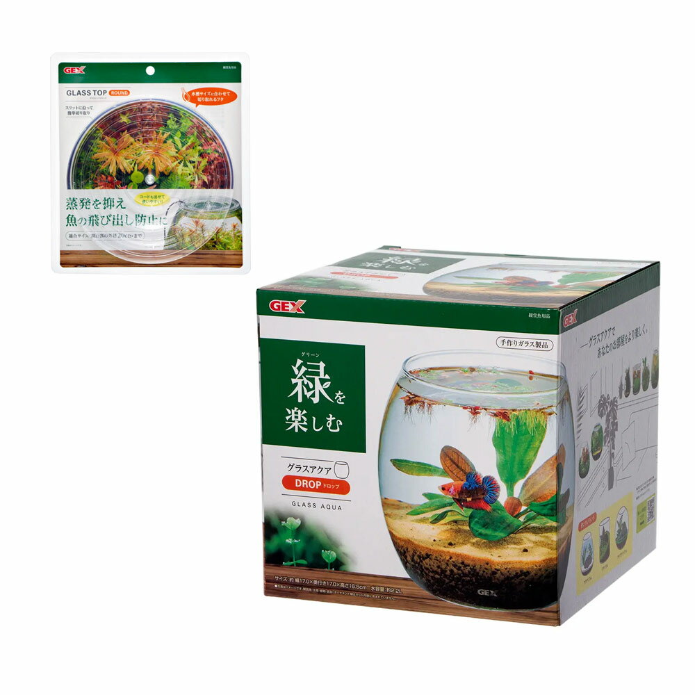 GEX�����饹���������ɥ��åס�N�����饹�ȥåץ饦��ɡ�17cm���塡�������塡�ܥȥꥦ�ࡡ�������ꥦ�ࡡ�ƥ�ꥦ�ࡡ����������