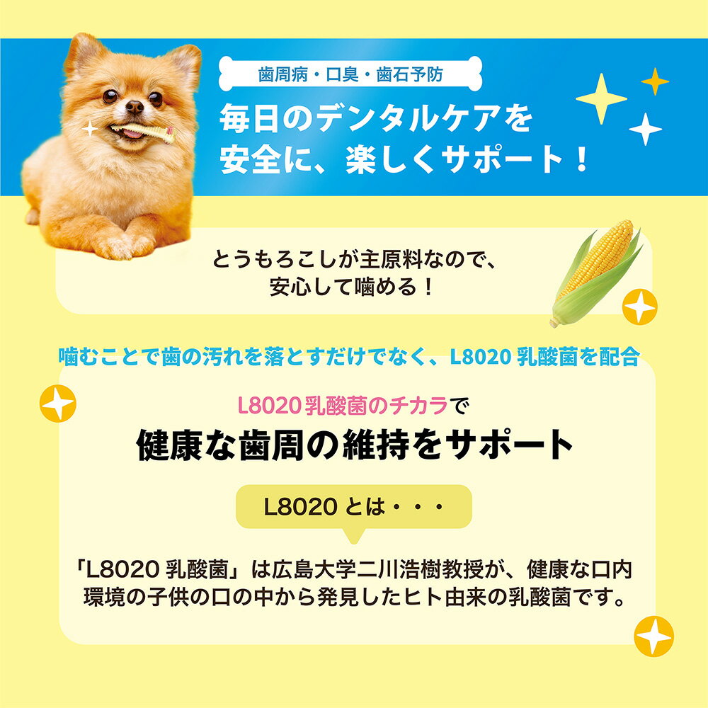 サンプル画像3
