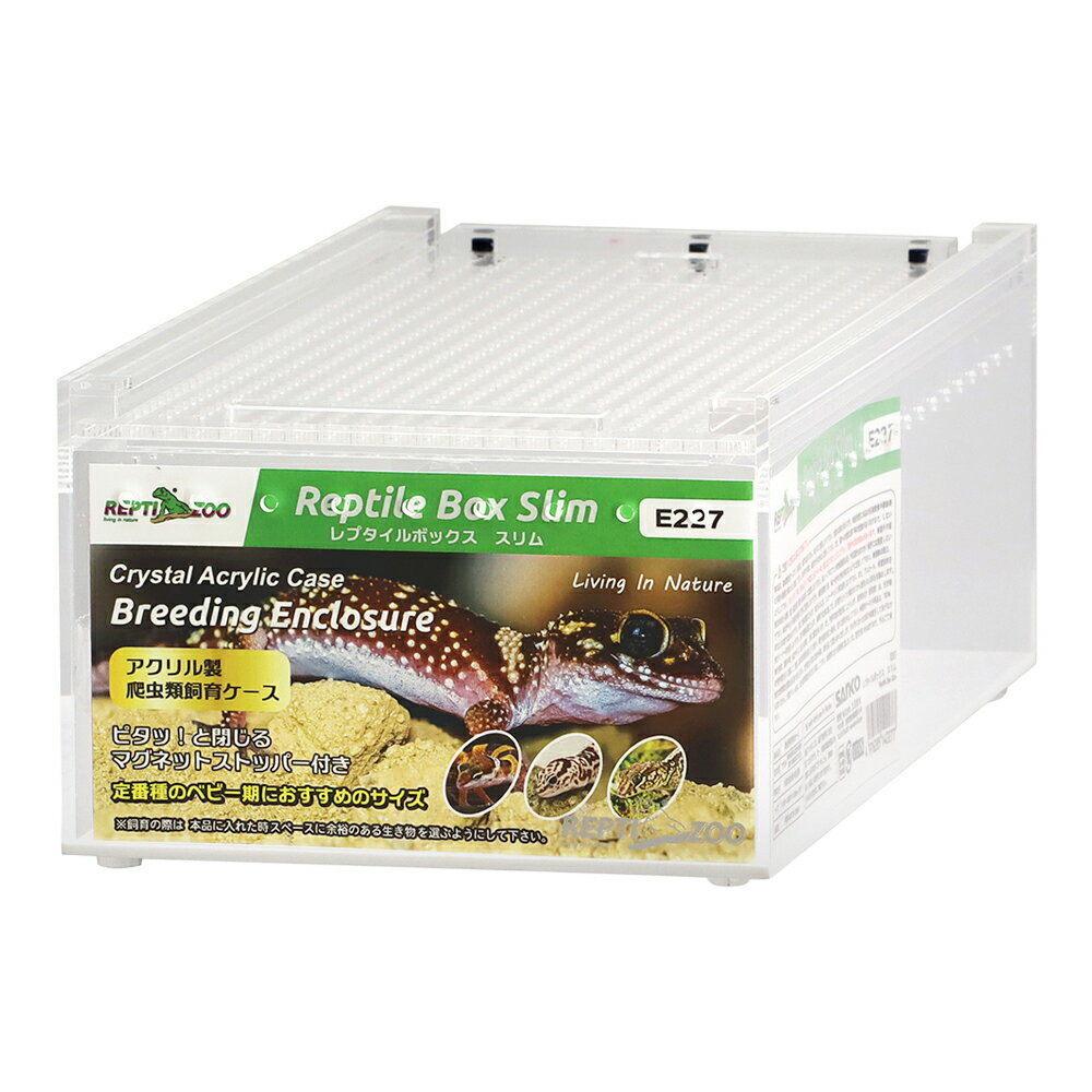 【3／15限定】当選確率2分の1！1等最大100％ 爬虫類ケージ レプタイルボックス スリム